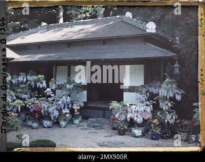 Propriété d'Albert Kahn, Boulogne, France maison est du 'village japonais', ornée de glycines, azalées et calcéolar dans pots de fleurs, Banque D'Images