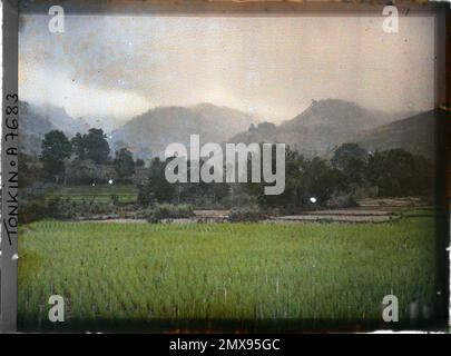 Province de Hoa-Binh, Tonkin, Indochine de hauts et bas champs de riz, Léon occupé en Indochine Banque D'Images