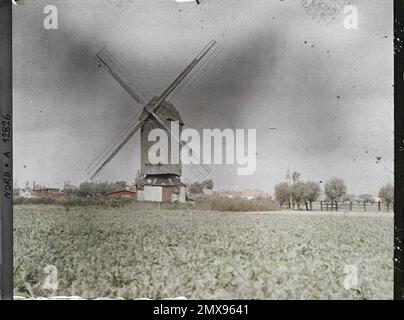 Bergues, Nord, France un moulin , 1917 - Nord de la France, Belgique - Paul Castelnau (section photographique des armées) - (1-5 septembre) Banque D'Images
