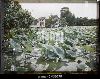 Hanoï, Tonkin, Indochine le temple Ngoc-son (appelé par les Européens "Pagode des Brushes"), situé sur "l'île de Jade" du petit lac couvert de lotus, Léon occupé à Indochine Banque D'Images