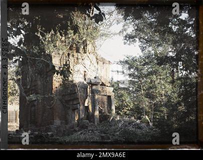 Angkor, Cambodge, Indochine une des tours du Prasat Suor Prat, envahi par la végétation, Léon occupé en Indochine Banque D'Images