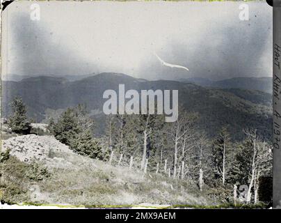 Ballon d'Alsace, Guebwiller, Haut-Rhin, Alsace, France Gresson, Ballon de Gebweiler, Rossberg [installations défensives] , 1917 - Alsace - Paul Castelnau (section photographique des armées) - (juin) Banque D'Images