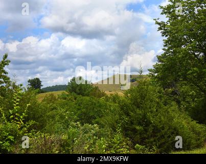 Un petit hangar ou une grange peut être vu à distance. Il se trouve au sommet des Appalaches, en Virginie. Banque D'Images