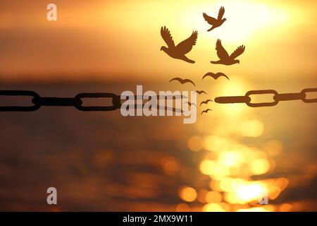 Concept de liberté. Silhouettes de chaîne cassée et oiseaux volant au-dessus de la mer au coucher du soleil Banque D'Images