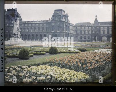 Paris (1st arr.), France Tulips dans le jardin des Tuileries , Banque D'Images