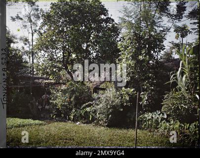 Environs de Hà-Nôi, Tonkin, Indochine vu dans un village, Léon occupé en Indochine Banque D'Images