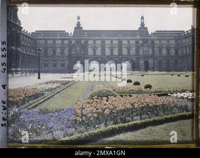 Paris (1st arr.), France Tulips dans le jardin des Tuileries , Banque D'Images