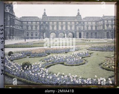 Paris (1st arr.), France Tulips dans le jardin des Tuileries , Banque D'Images