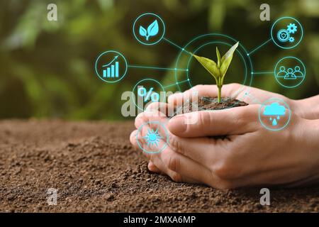 La technologie moderne dans l'agriculture. Femme avec plantule verte et icônes Banque D'Images