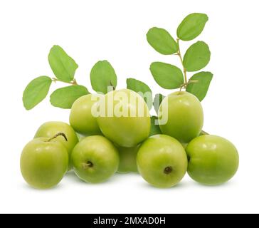 Jujujube fruits isolés sur fond blanc Banque D'Images