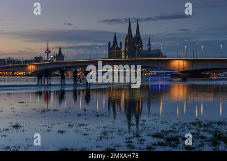 High Water à Cologne, Deutzer Bruecke, Gross St. Martin et la cathédrale de Cologne, vue du côté Deutzer du Rhin, crépuscule, patrimoine mondial de l'UNESCO Banque D'Images