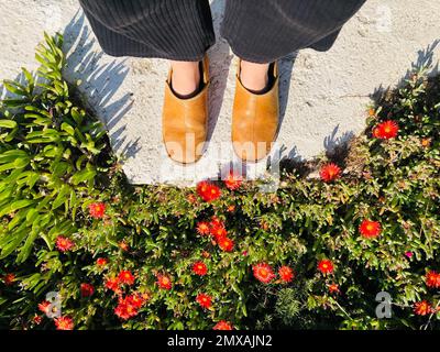 Pieds avec pantoufles en cuir jaune, debout sur un mur blanc encadré par des suculiers à fleurs rouges, Paros, Cyclades, Grèce Banque D'Images