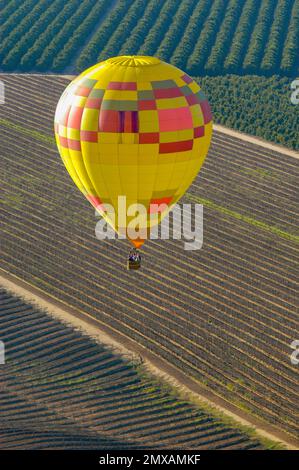 Montgolfière survolant la Temecula, vallée. Banque D'Images