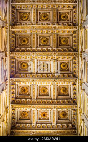 16th siècle plafond par Giulio Romano, Cathédrale de San Pedro avec clocher roman, un long côté gothique tardif à la Piazza Sordello, Mantoue Banque D'Images