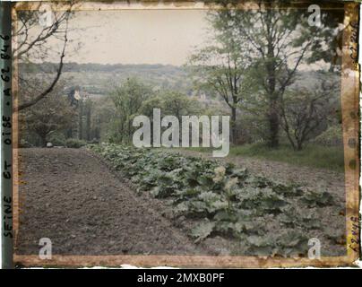 Marly-le-Roi, France , 1930 - Ile-de-France - Stéphane Passet - (28 juin -8 juillet) Banque D'Images