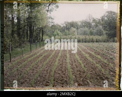 Marly-le-Roi, France , 1930 - Ile-de-France - Stéphane Passet - (28 juin -8 juillet) Banque D'Images