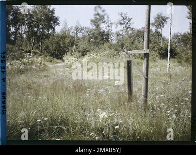 Environs de Reims, Marne, Champagne, France , 1919 - régions dévastées, Marne, Aisne - Fernand Cuville - (août) Banque D'Images