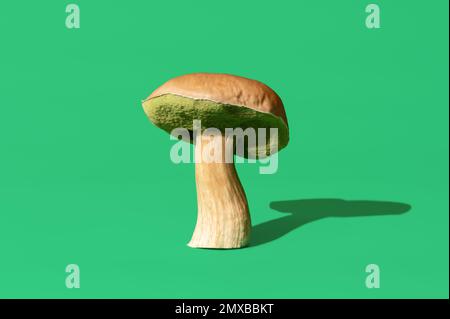 Champignons sauvages comestibles, minimalistes sur une table verte. Champignons Boletus edulis, en lumière vive, sur fond vert. Banque D'Images