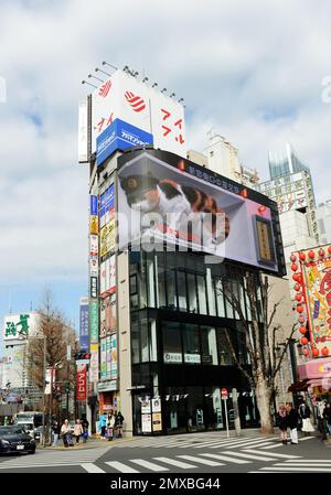 Piétons traversant la rue sous le panneau d'affichage Cat 3D à Shinjuku, Tokyo, Japon. Banque D'Images