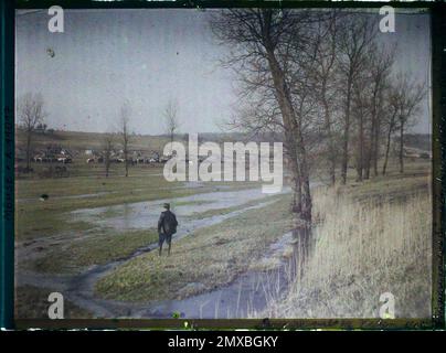 LempireauxBois, France, nature, Environnement, vêtements, première