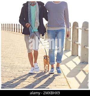 Je prends ces gars pour une promenade. un jeune couple gay appréciant une promenade sur la promenade avec leur chien. Banque D'Images