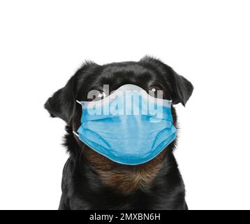 Adorable petit Brabancon noir en masque médical sur fond blanc. Protection contre les virus pour les animaux Banque D'Images