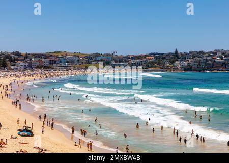 Bondi Beach Sydney Australie, bondi Beach bondée à l'été 2023, les amateurs de plage prennent le soleil et nagent, Sydney, Nouvelle-Galles du Sud, Australie Banque D'Images