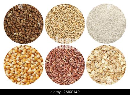 Collecte de différents grains et céréales sur fond blanc Banque D'Images