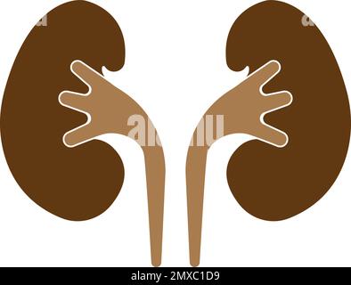 Vecteur d'icône de rein. Modèle de conception du logo Urologie. Illustration de Vecteur