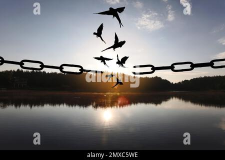 Concept de liberté. Silhouettes de chaîne cassée et oiseaux volant à l'extérieur au coucher du soleil Banque D'Images