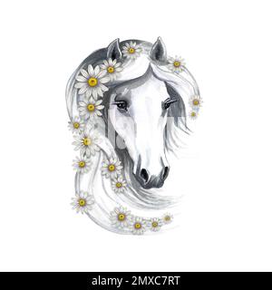 Portrait d'un cheval blanc décoré de pâquerettes. Aquarelle faite à la main. Pour l'impression, les autocollants et les étiquettes. Pour cartes postales, cartes de visite et emballages. Banque D'Images