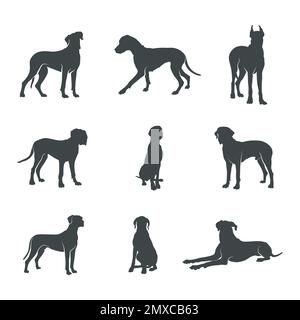 Super silhouettes pour chiens de danes, ensemble pour silhouette de chiens de danes Illustration de Vecteur