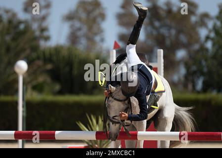 Accident de saut de spectacle de cheval, jeune cavalier tombant de cheval pendant une compétition Banque D'Images