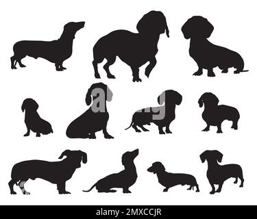 Silhouettes pour chiens Dachshund. silhouettes animales, illustration vectorielle. Illustration de Vecteur