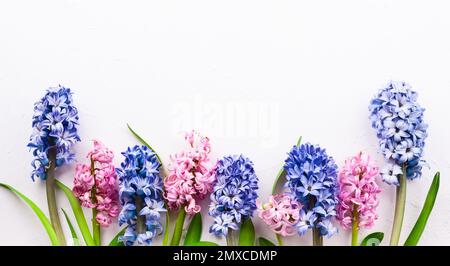 Composition de fleurs avec des hyacinthes lilas et roses. Fleurs printanières sur fond blanc. Concept de Pâques. Plan d'agencement, vue de dessus. Banque D'Images