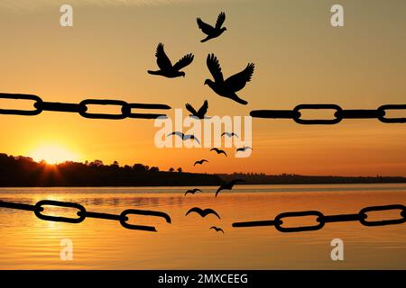 Concept de liberté. Silhouettes de chaîne cassée et oiseaux volant à l'extérieur au coucher du soleil Banque D'Images