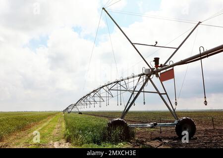 Système d'irrigation moderne dans le champ sous ciel nuageux. Équipement agricole Banque D'Images