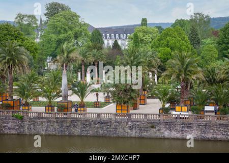 Le jardin des palmiers, Bad Pyrmont, quartier de Hamelin-Pyrmont, Basse-Saxe, Allemagne Banque D'Images