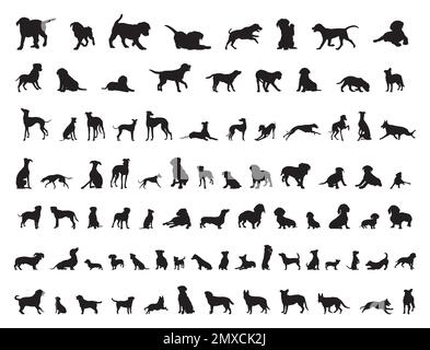 Silhouettes pour chiens, collection pour chiens, ensemble silhouette de chiens Illustration de Vecteur