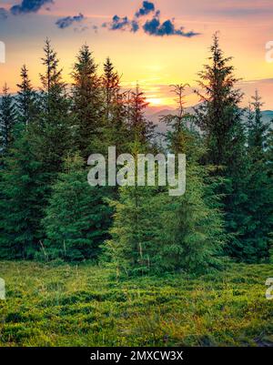 Magnifique paysage d'été. Superbe coucher de soleil sur le mont Yahidna avec le soleil se couche sur les chaînes de montagnes. Belle vue d'été sur les montagnes carpathes, UKR Banque D'Images