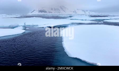 Dérive de la glace flottante et des montagnes enneigées, Iceberg, flotteurs de glace, Albert I Land, Arctique, Spitzbergen, Svalbard, Norvège, Europe Banque D'Images