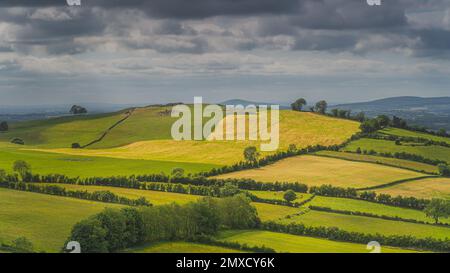 Anciennes chambres de sépulture néolithique et cercles de pierre de Loughcrew Cairns au sommet d'une colline, illuminés par la lumière du soleil, Comté de Meath, Irlande Banque D'Images