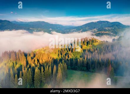 Photographie aérienne de paysage. Magnifique vue d'été sur le village de Stebnyi. Misty Morning scène de Carpathian montagnes, Ukraine, Europe. Conce de voyage Banque D'Images