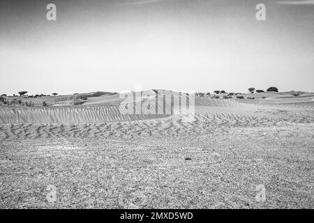 Une photo en niveaux de gris de dunes de sable désertique avec ciel clair Banque D'Images