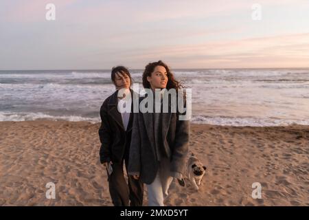 Les femmes marchant près du chien de pug sur la plage en Espagne pendant le coucher du soleil Banque D'Images