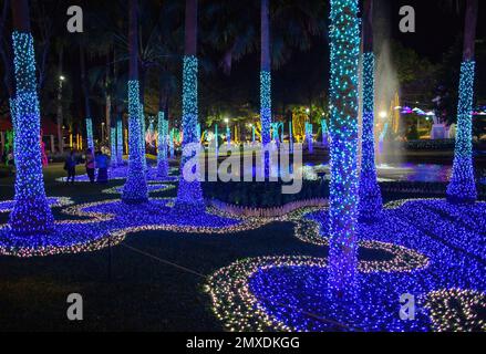 Chiang Mai, Thaïlande. 02nd févr. 2023. Vue sur le spectacle illuminé de 'Flora Wonderlust 2023' lors du Chiang Mai Flower Festival 2023 au parc public de Suan Buak Haad. Le Festival des fleurs de Chiang Mai est en cours depuis plus de 45 ans et célèbre les belles fleurs en pleine floraison pendant cette période. Le festival dure plus de 3 jours au début du mois de février chaque année et attire des milliers de visiteurs à Chiang Mai. Crédit : SOPA Images Limited/Alamy Live News Banque D'Images