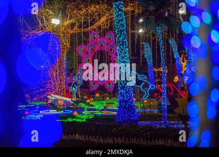 Chiang Mai, Thaïlande. 02nd févr. 2023. Vue sur le spectacle illuminé de 'Flora Wonderlust 2023' lors du Chiang Mai Flower Festival 2023 au parc public de Suan Buak Haad. Le Festival des fleurs de Chiang Mai est en cours depuis plus de 45 ans et célèbre les belles fleurs en pleine floraison pendant cette période. Le festival dure plus de 3 jours au début du mois de février chaque année et attire des milliers de visiteurs à Chiang Mai. Crédit : SOPA Images Limited/Alamy Live News Banque D'Images