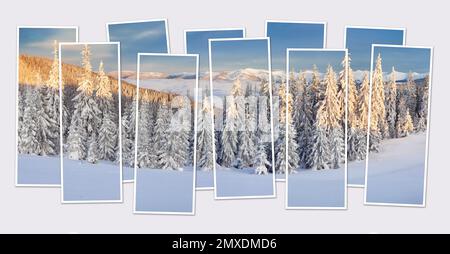 Isolé dix cadres collage de l'image de paysage ensoleillé d'hiver dans la forêt de montagne. Magnifique scène matinale des montagnes carpathes. Maquette de modula Banque D'Images