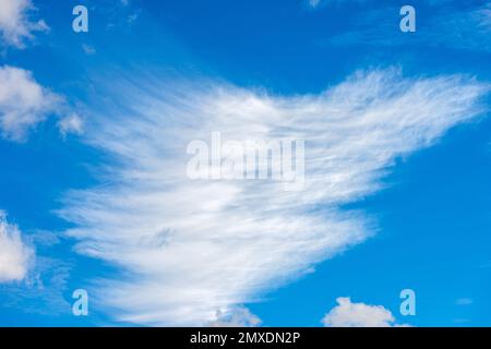 Photographie de magnifiques cumulus ou cumulonimbus et cirrocumulus blancs, contre un ciel bleu clair. Plein format, SKY uniquement. Banque D'Images