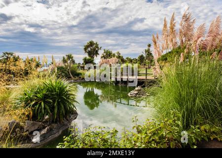 Un étang dans Abbey Gardens près du front de mer. Torquay, Devon, Angleterre, Royaume-Uni, Grande-Bretagne. Connu sous le nom de Riviera anglaise Banque D'Images